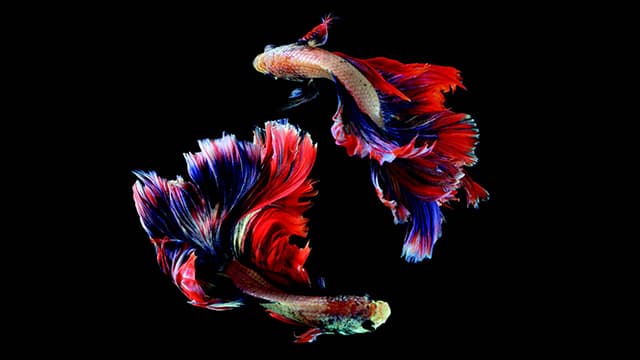 Artglass anti-reflective acrylic comparison